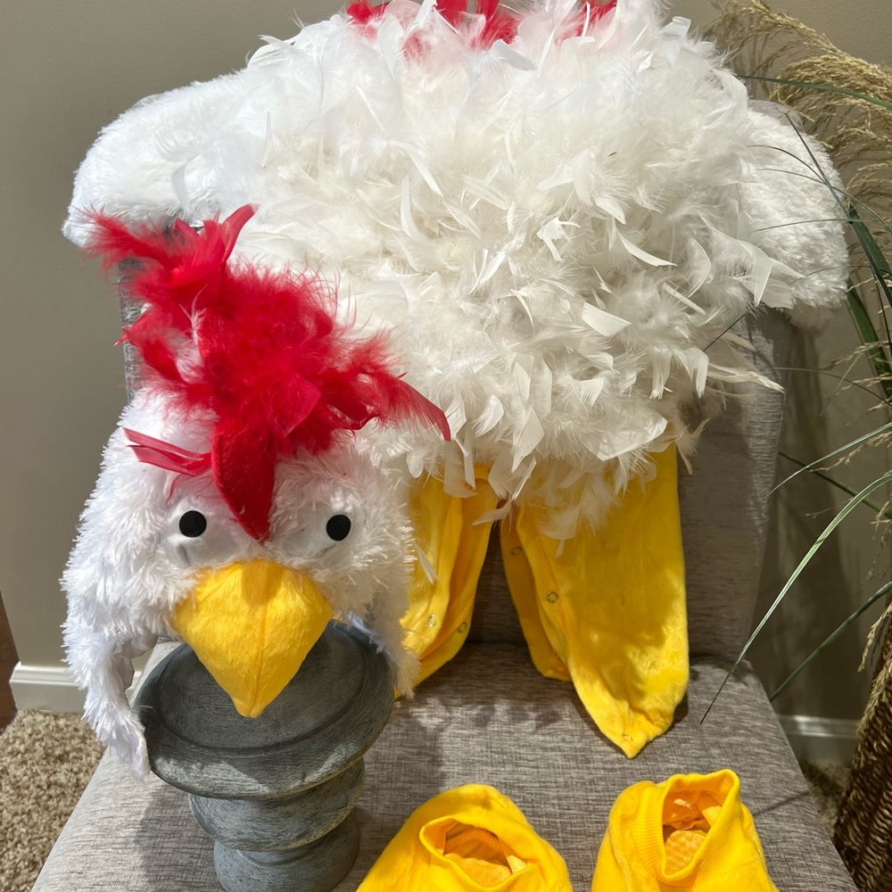 Chicken Costume